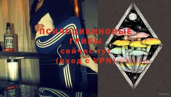 мдпв Бронницы