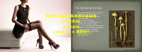 мдпв Бронницы