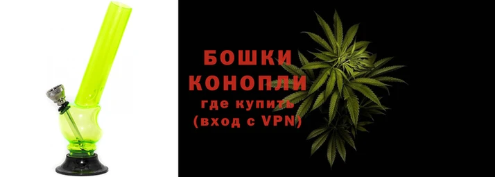 мдпв Бронницы