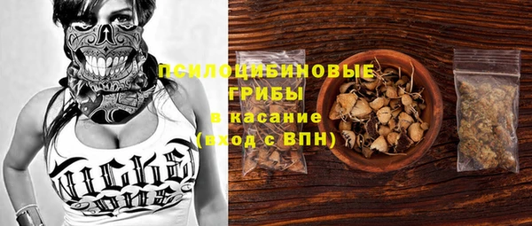 мдпв Бронницы