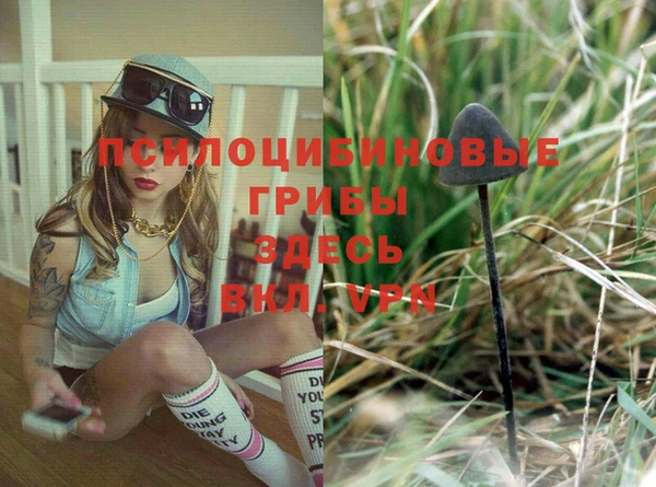 мдпв Бронницы