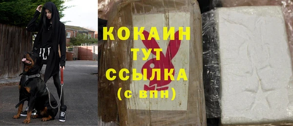 мдпв Бронницы
