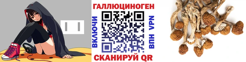 дарнет шоп  Южа  Галлюциногенные грибы Cubensis 